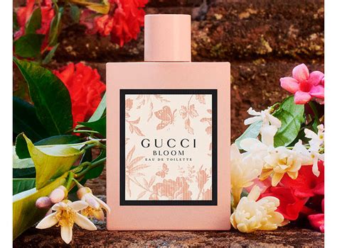 dossier perfume gucci bloom|Gucci Bloom perfume knock off.